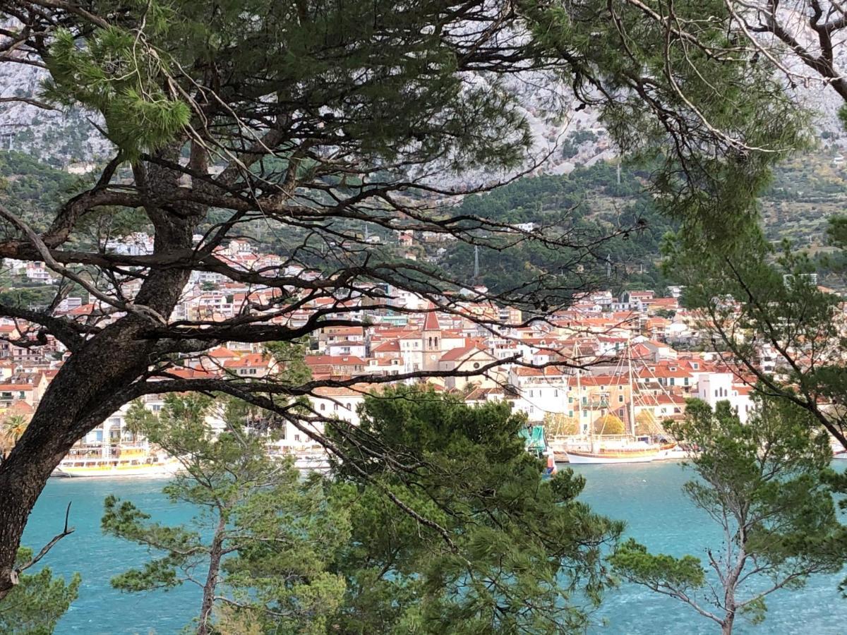 Apartments Drago Makarska Exteriör bild